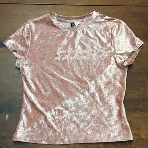 Pink Velvet Crop Top